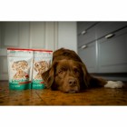 Dog Wet pet food Bland diet 150g 1 Piece -4- Anifit