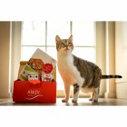 Katze Nassfutter Schnupperpaket Katzen 400g 1 Paket mit verschiedenen Sorten / Testpackungen -5- Anifit
