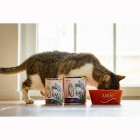 Cat Wet pet food Fisch à la Mode 400g 6 Piece -3- Anifit